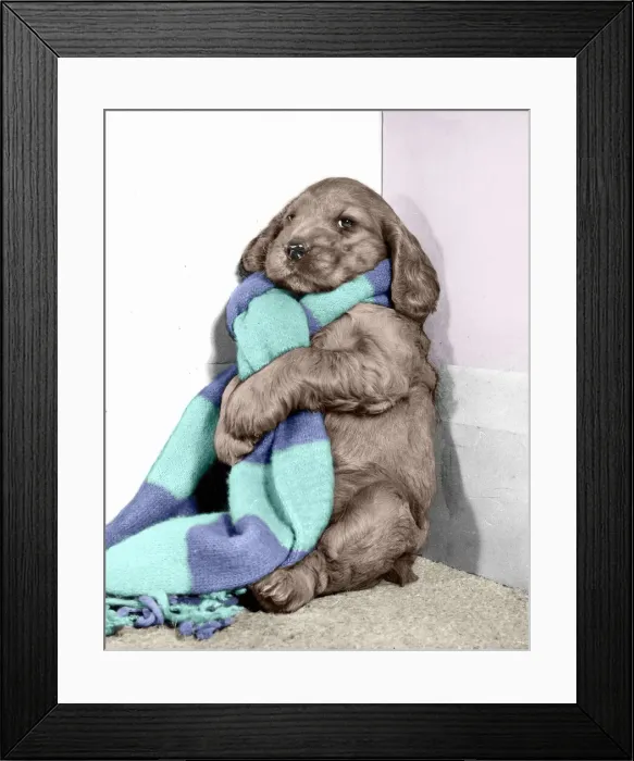 Framed Print : Susi - in a long scarf Framed Print : Susi - in a long scarf