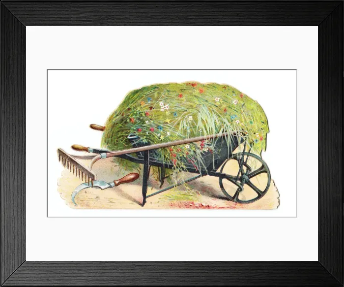 Framed Print : Wheelbarrow and tools on a cutout greetings card Framed Print : Wheelbarrow and tools on a cutout greetings card