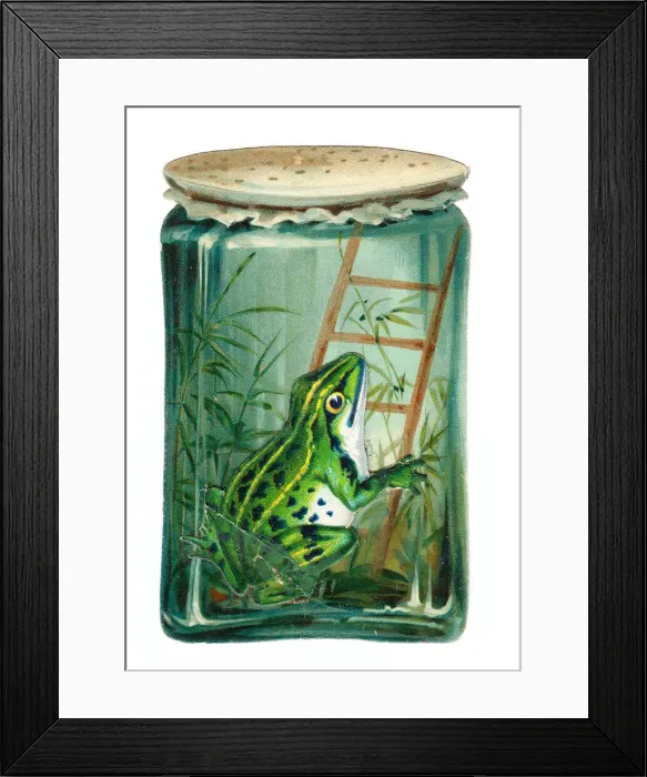 Framed Print : Frog in a jar on a cutout greetings card Framed Print : Frog in a jar on a cutout greetings card