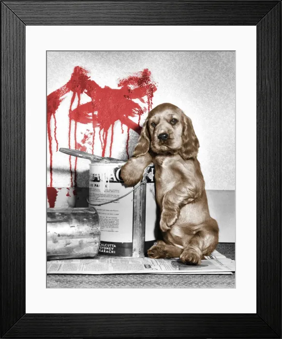 Framed Print : Susi - playing with paints Framed Print : Susi - playing with paints