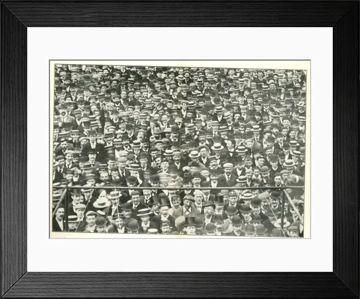 Framed Print : Crowd at The Oval Cricket Ground, London Framed Print : Crowd at The Oval Cricket Ground, London