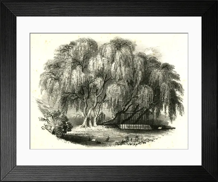 Framed Print : Napoleons Tomb on St Helena Framed Print : Napoleons Tomb on St Helena