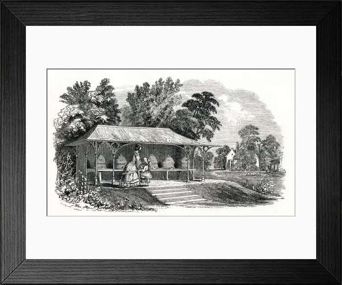 Framed Print : Design for a Bee House Framed Print : Design for a Bee House