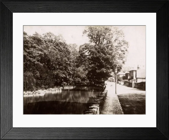 Framed Print : Bonchurch Pond, Isle of Wight Framed Print : Bonchurch Pond, Isle of Wight