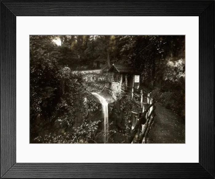 Framed Print : Shanklin Chine, Isle of Wight Framed Print : Shanklin Chine, Isle of Wight