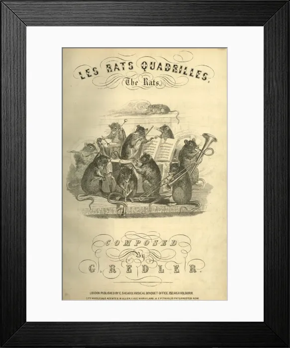 Framed Print : Music cover, Les Rats Quadrilles, The Rats Framed Print : Music cover, Les Rats Quadrilles, The Rats