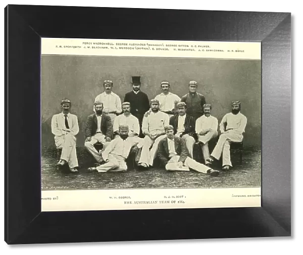 The Australian Cricket Team 1884