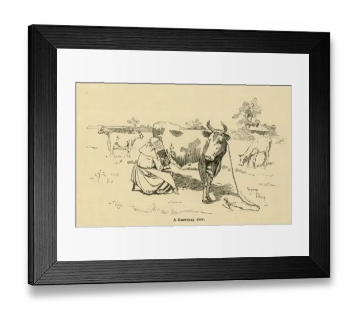 Framed Print : Two Knapsacks in the Channel Islands Framed Print : Two Knapsacks in the Channel Islands
