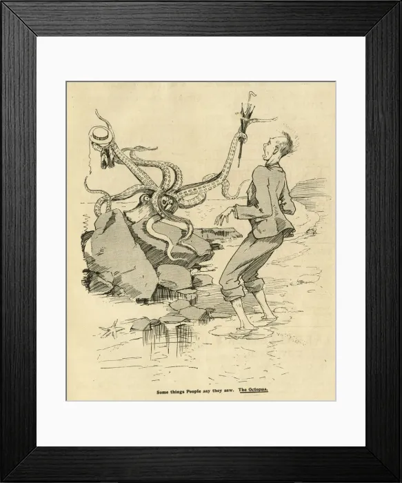Framed Print : Two Knapsacks in the Channel Islands Framed Print : Two Knapsacks in the Channel Islands