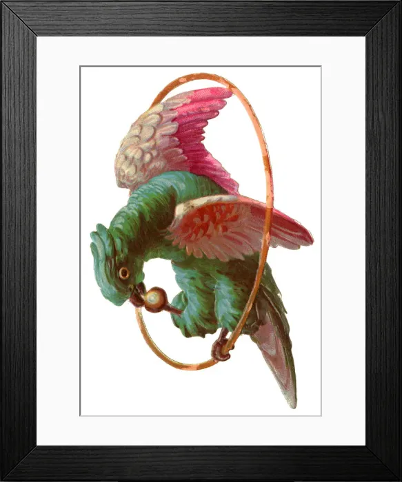 Framed Print : Victorian Scrap, parrot on a hoop perch Framed Print : Victorian Scrap, parrot on a hoop perch