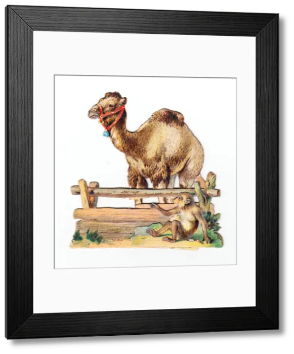 Framed Print : Camel and monkey on a cutout greetings card Framed Print : Camel and monkey on a cutout greetings card