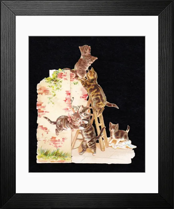 Framed Print : Tabby cats and kittens on a cutout greetings card Framed Print : Tabby cats and kittens on a cutout greetings card