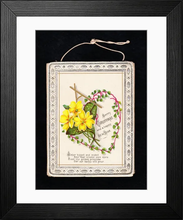 Framed Print : Yellow primroses on a Christmas and New Year card Framed Print : Yellow primroses on a Christmas and New Year card