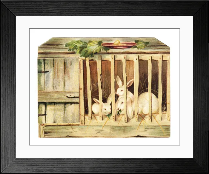Framed Print : Christmas card in the shape of a rabbit hutch Framed Print : Christmas card in the shape of a rabbit hutch