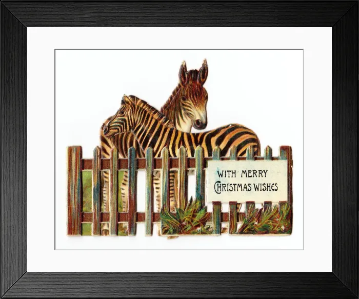 Framed Print : Two zebra on a cutout Christmas card Framed Print : Two zebra on a cutout Christmas card