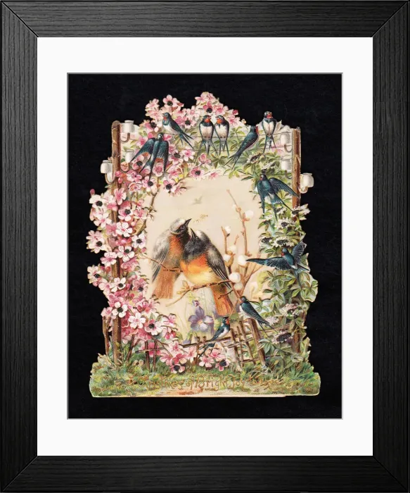 Framed Print : Robins and swallows on a cutout Christmas card Framed Print : Robins and swallows on a cutout Christmas card