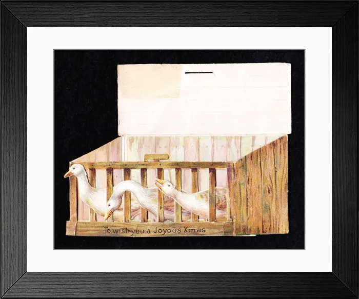 Framed Print : Christmas card in the shape of a box of live geese Framed Print : Christmas card in the shape of a box of live geese