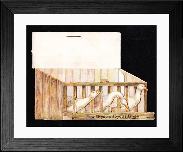 Framed Print : Christmas card in the shape of a box of live geese Framed Print : Christmas card in the shape of a box of live geese