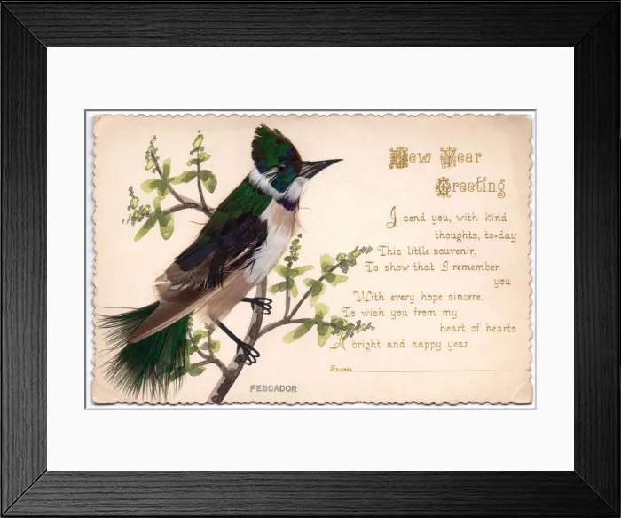 Framed Print : Kingfisher on a New Year card Framed Print : Kingfisher on a New Year card