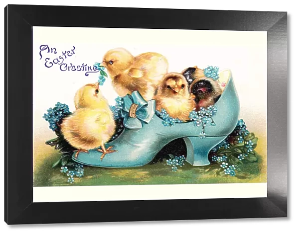 Chicks in a blue shoe on an Easter postcard