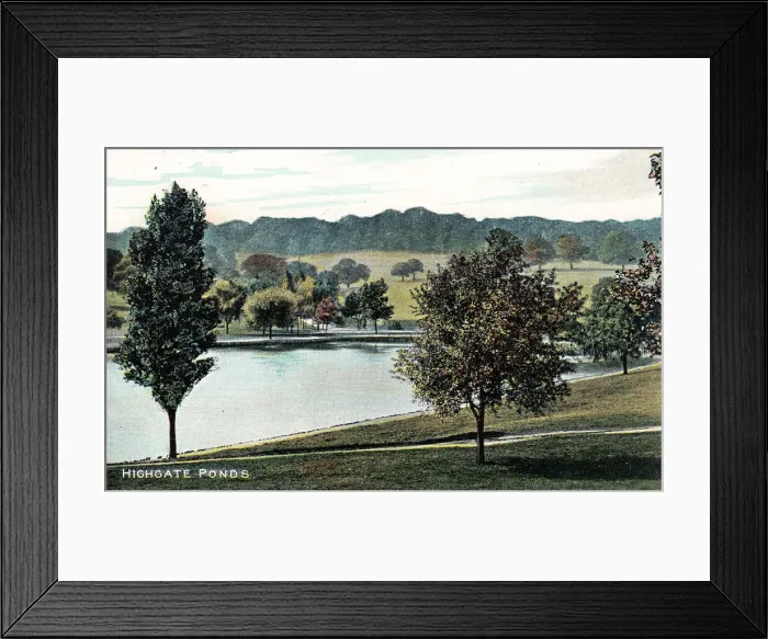 Framed Print : Highgate Ponds, Highgate, North London Framed Print : Highgate Ponds, Highgate, North London