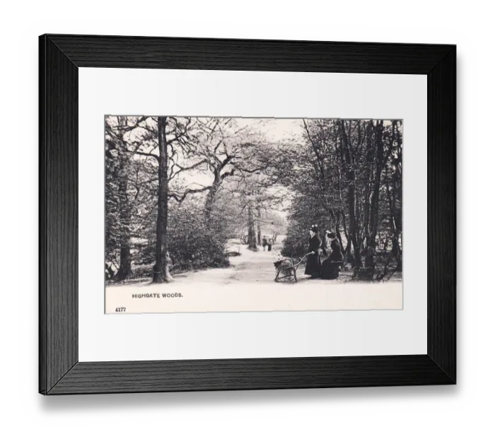 Framed Print : People in Highgate Woods, North London Framed Print : People in Highgate Woods, North London
