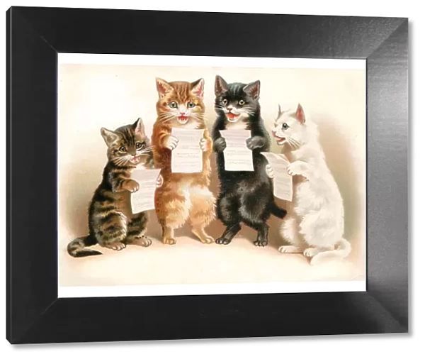 Four cats singing on a greetings postcard