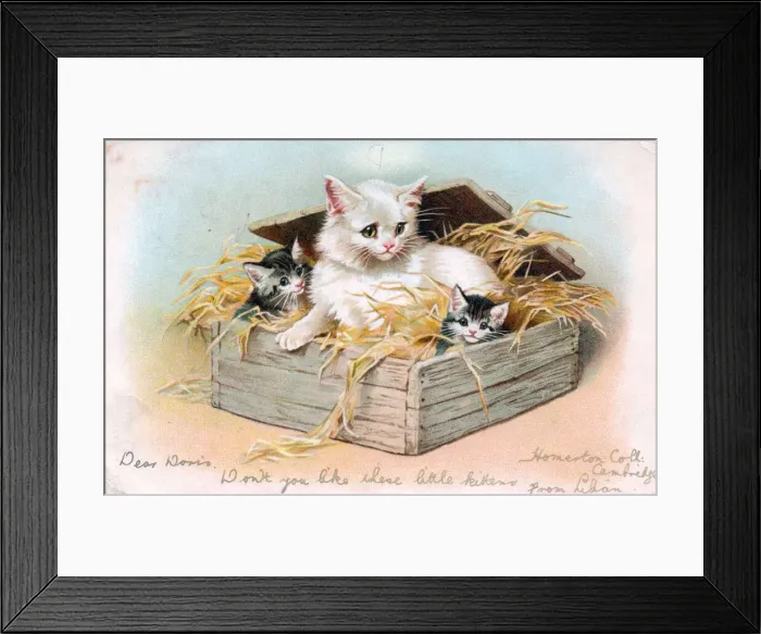 Framed Print : Cat and two kittens on a greetings postcard Framed Print : Cat and two kittens on a greetings postcard
