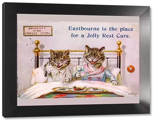 Cat couple in bed on a greetings postcard