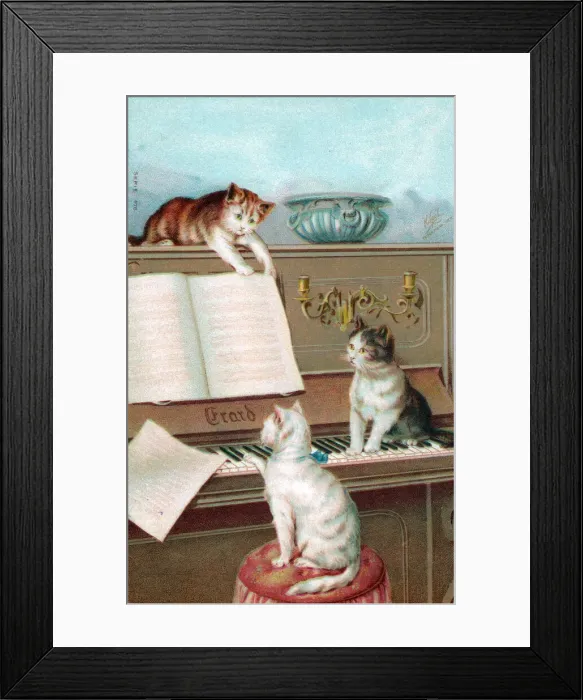 Framed Print : Three cats playing the piano on a greetings postcard Framed Print : Three cats playing the piano on a greetings postcard