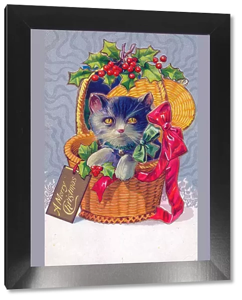 Cat in a basket decorated with holly on a Christmas postcard