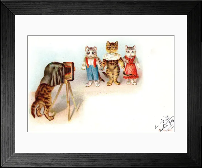Framed Print : Cat photographer and clients on a French postcard Framed Print : Cat photographer and clients on a French postcard