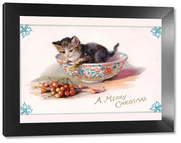 Kitten in a bowl on a Christmas postcard