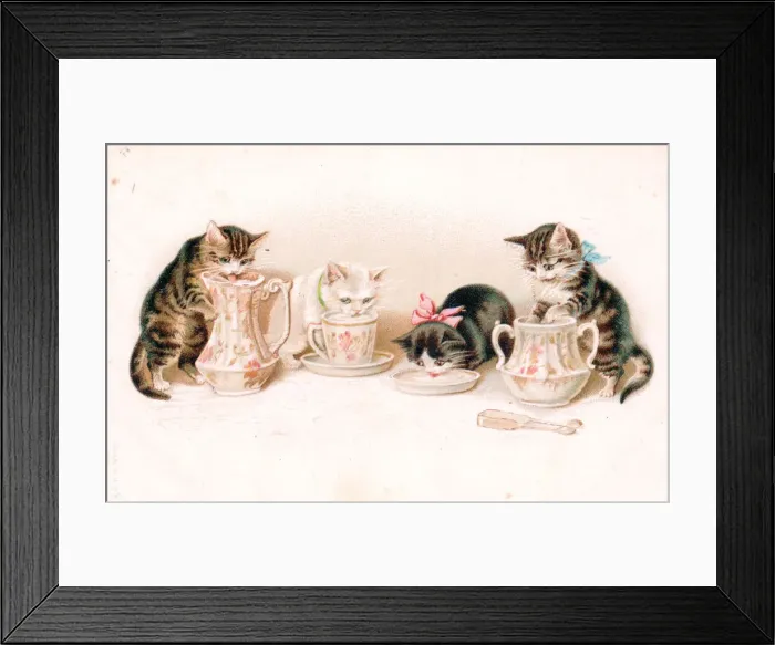 Framed Print : Kittens lapping milk on a greetings postcard Framed Print : Kittens lapping milk on a greetings postcard