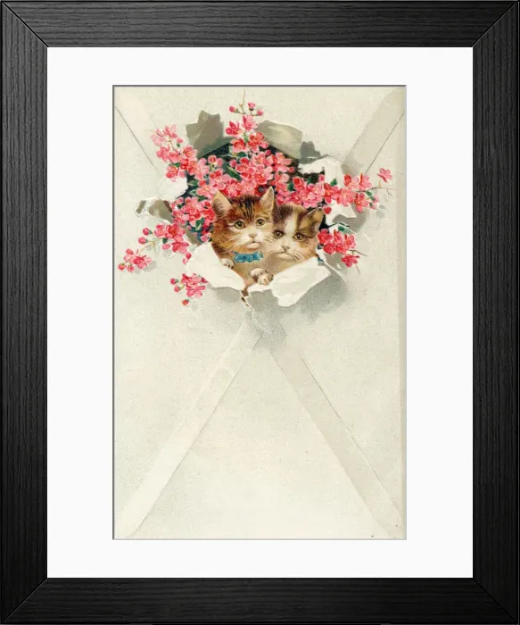 Framed Print : Two kittens in an envelope on a greetings postcard Framed Print : Two kittens in an envelope on a greetings postcard