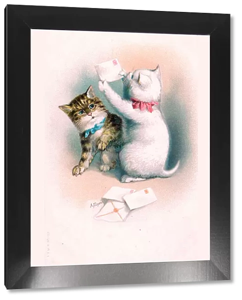 Two kittens with letters on a postcard