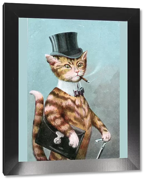 Gentleman cat in a top hat on a greetings postcard