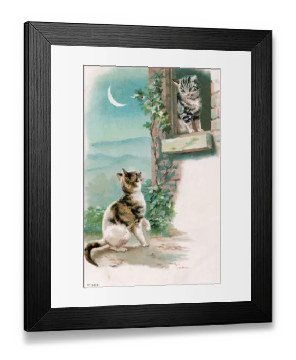 Framed Print : Two cats in the moonlight on a postcard Framed Print : Two cats in the moonlight on a postcard