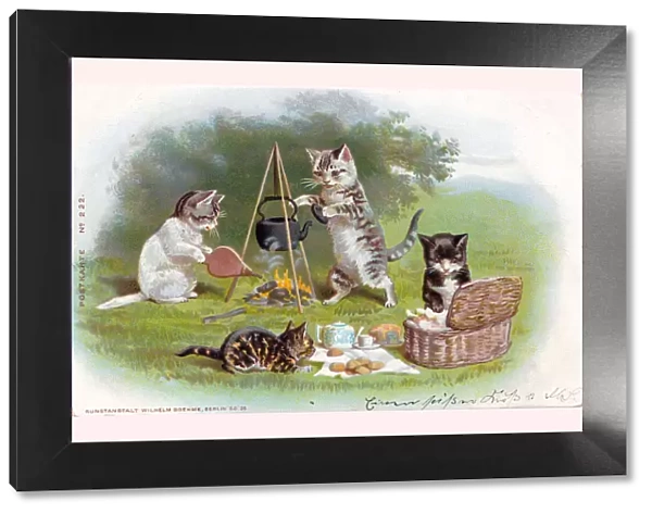 Cats having a picnic on a German postcard