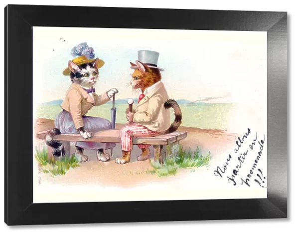 Cat couple on a bench on a postcard