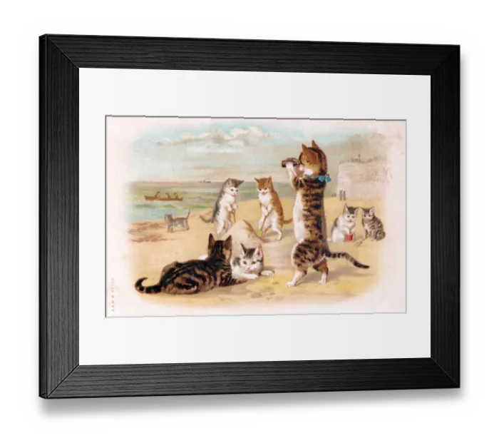Framed Print : Cats and kittens on the beach on a postcard Framed Print : Cats and kittens on the beach on a postcard