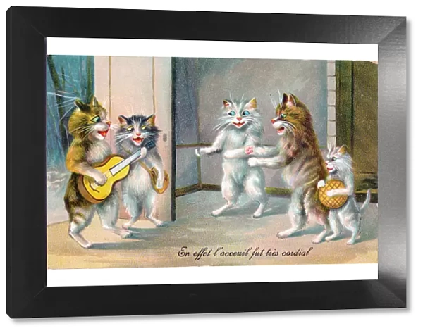 Five cats meeting on a French postcard