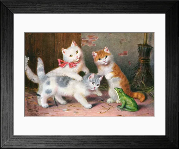 Framed Print : Three kittens meet a frog on a postcard Framed Print : Three kittens meet a frog on a postcard