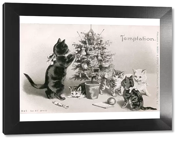 Cat and kittens with a tree on a Christmas postcard