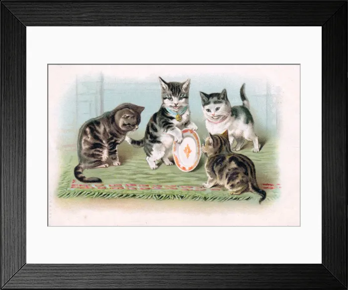 Framed Print : Four kittens with a plate on a postcard Framed Print : Four kittens with a plate on a postcard