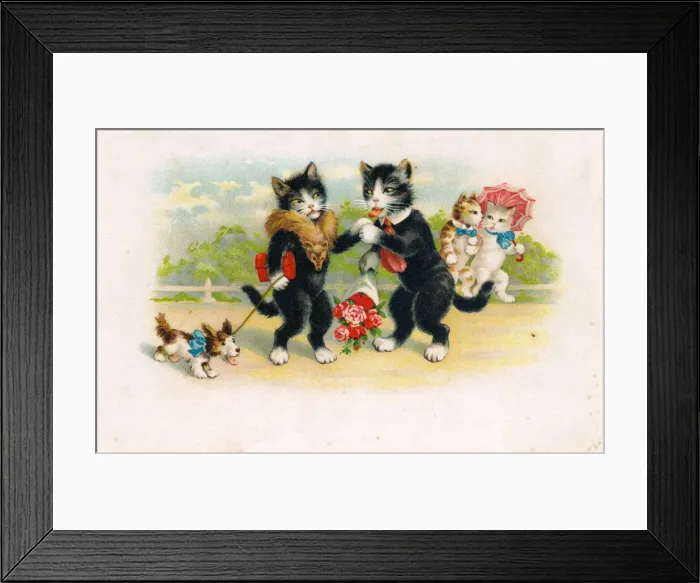 Framed Print : Cats out for a walk on a French postcard Framed Print : Cats out for a walk on a French postcard