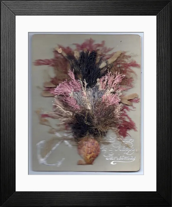 Framed Print : Flowers made of seaweed in a vase on a Christmas card Framed Print : Flowers made of seaweed in a vase on a Christmas card