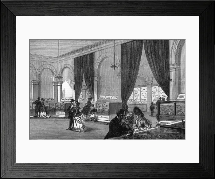 Framed Print : The Crystal Palace aquarium 1871 Framed Print : The Crystal Palace aquarium 1871