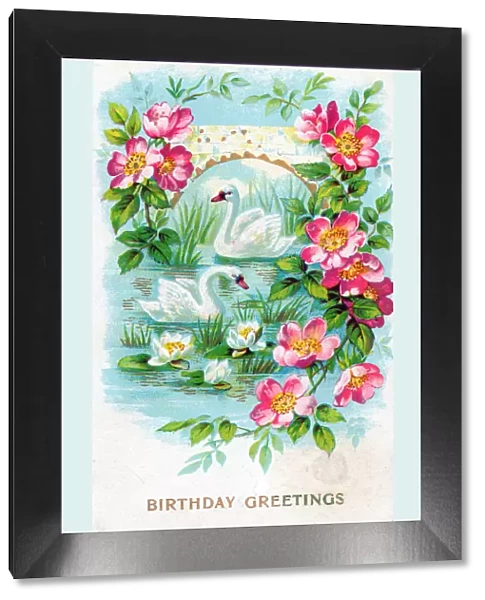 Swans and flowers on a birthday greetings postcard