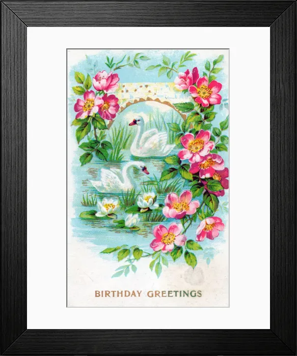 Framed Print : Swans and flowers on a birthday greetings postcard Framed Print : Swans and flowers on a birthday greetings postcard